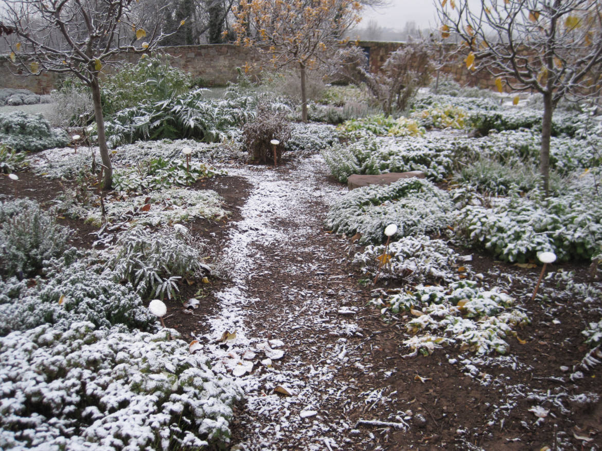2017_Kräutergarten_Winterimpressionen08_Heilkräutergarten.jpg