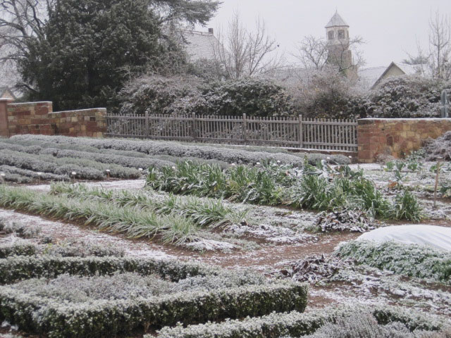 2017_Kräutergarten_Winterimpressionen15_Gemüsegarten.jpg